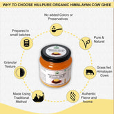 Pure Natural Uttarakhand Himalayan Cow Ghee By Hillpure Organic | Great Source Of Essential Nutrients Desi Ghee For Strengthens Immunity | (500ml) 16.9 Ounce | Jar Pack